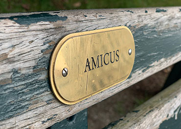 Amicus' engraving representing legal support in Texas family law disputes